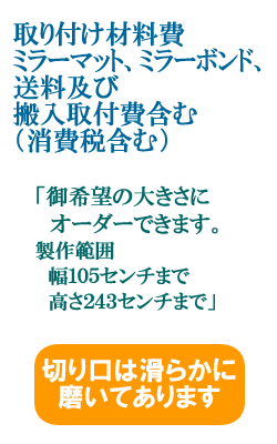 example_mirror2-2.gif